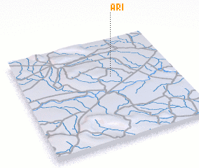 3d view of Ari