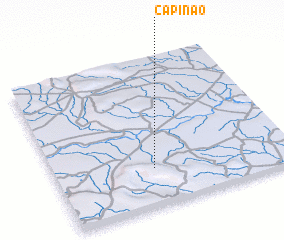 3d view of Capinão