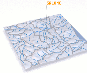 3d view of Salomé