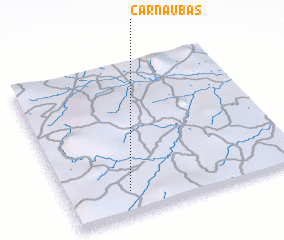 3d view of Carnaúbas