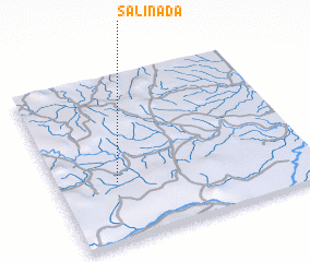 3d view of Salinada