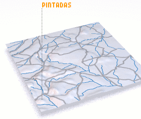 3d view of Pintadas