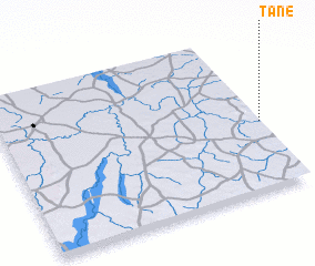 3d view of Tané