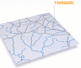 3d view of Toungouri