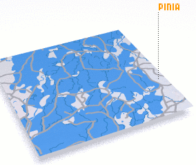 3d view of Pinia