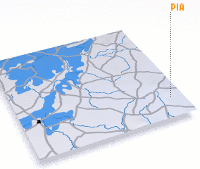 3d view of Pia