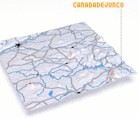 3d view of Cañada de Junco