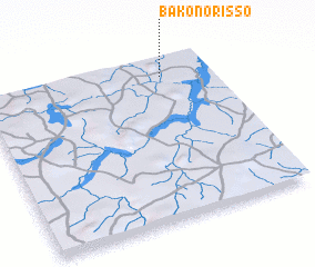 3d view of Bakonorisso