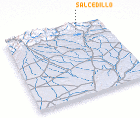 3d view of Salcedillo