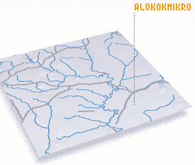 3d view of Alokokmikro