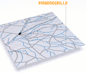 3d view of Pinarnegrillo