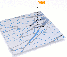 3d view of Tore