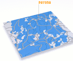 3d view of Payona