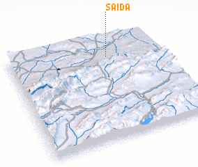 3d view of Saïda