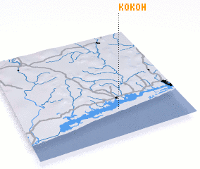 3d view of Kokoh