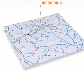 3d view of Kongonoua