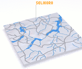 3d view of Sélikoro