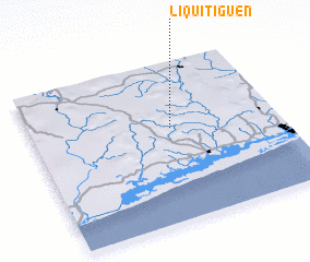 3d view of Liquitiguen