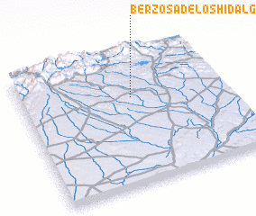 3d view of Berzosa de los Hidalgos