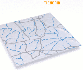 3d view of Tiéménin