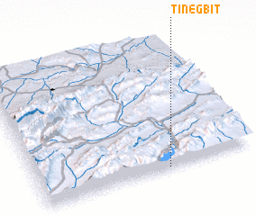 3d view of Tinegbit