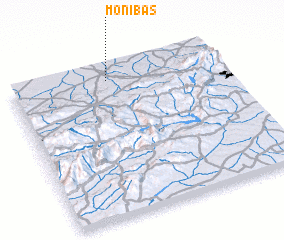 3d view of Moñibas