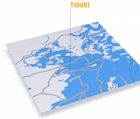 3d view of Tiouki