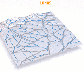 3d view of Lomas