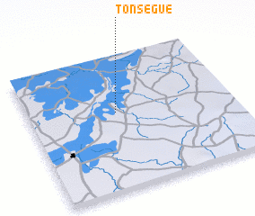 3d view of Tonségué