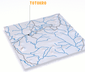 3d view of Totokro