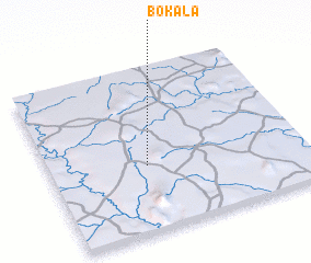 3d view of Bokala