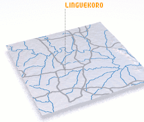 3d view of Linguékoro
