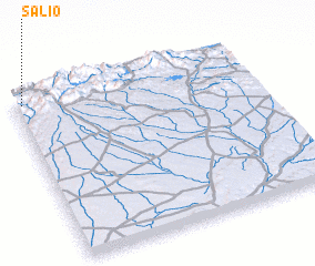 3d view of Salio