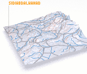 3d view of Sidi Abdalwahad