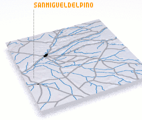 3d view of San Miguel del Pino