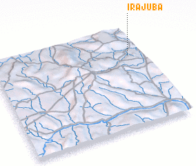 3d view of Irajuba