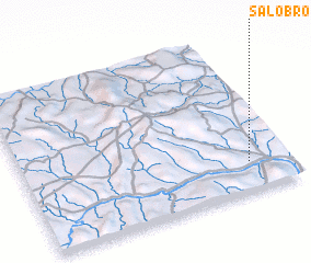 3d view of Salobro