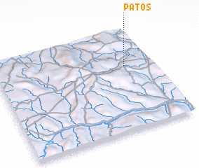 3d view of Patos