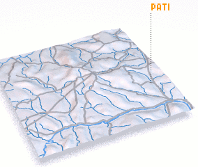 3d view of Pati