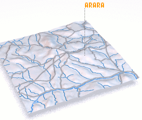 3d view of Arara