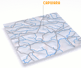 3d view of Capivara