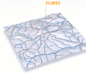 3d view of Flores