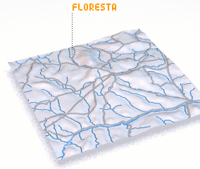 3d view of Floresta