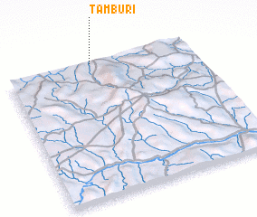 3d view of Tamburi