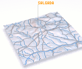 3d view of Salgada