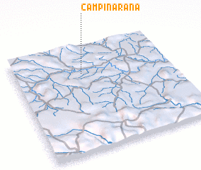 3d view of Campinarana