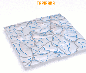 3d view of Tapirama