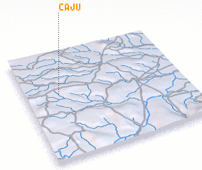 3d view of Caju