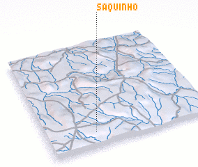 3d view of Saquinho