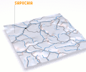 3d view of Sapucaia